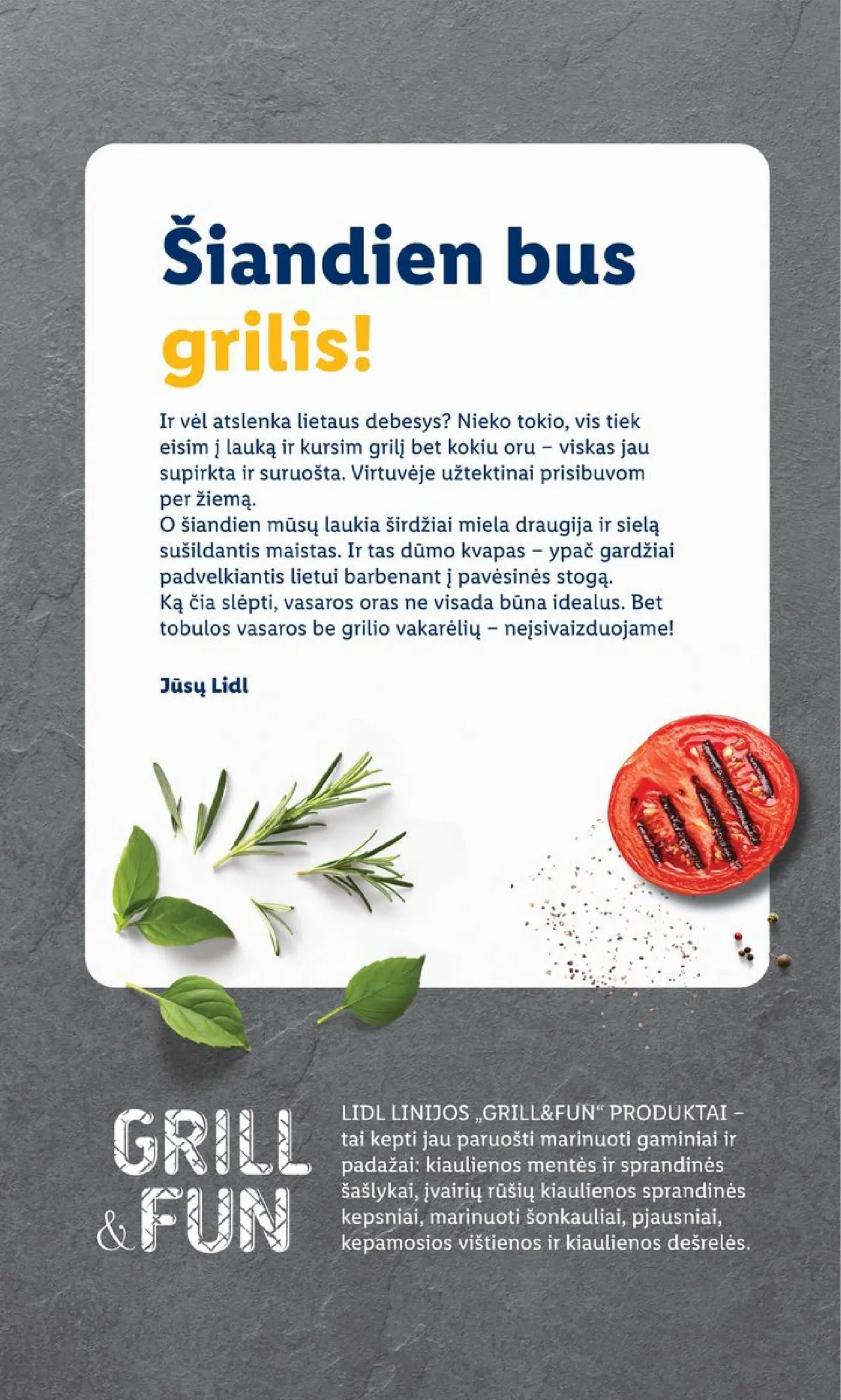 Naujas Lidl nuolaidų leidinys - Grilio katalogas Nuo pirmadienio, 04 06 Nr.15 – 2 puslapis