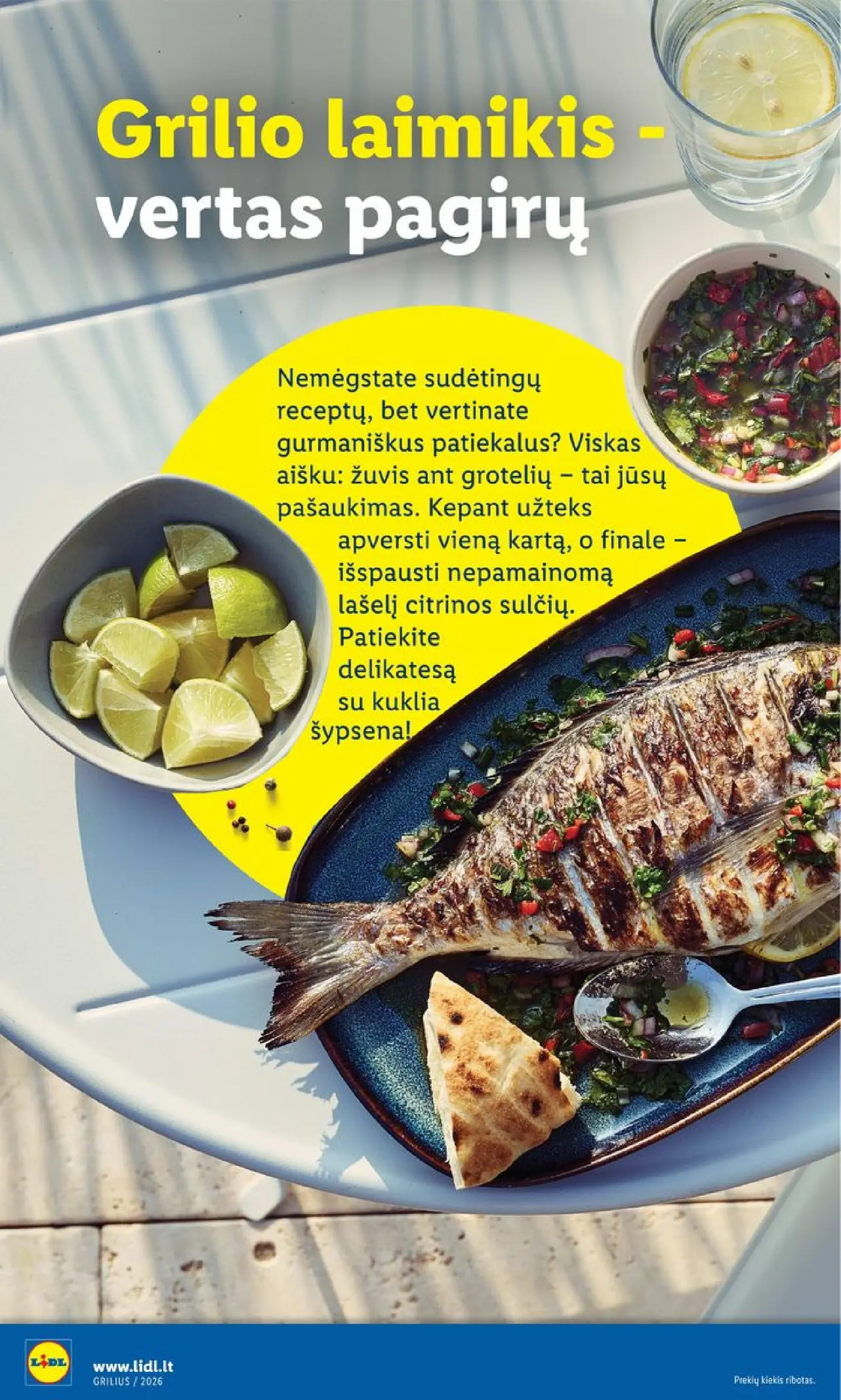Naujas Lidl nuolaidų leidinys - Grilio katalogas Nuo pirmadienio, 04 06 Nr.15 – 22 puslapis