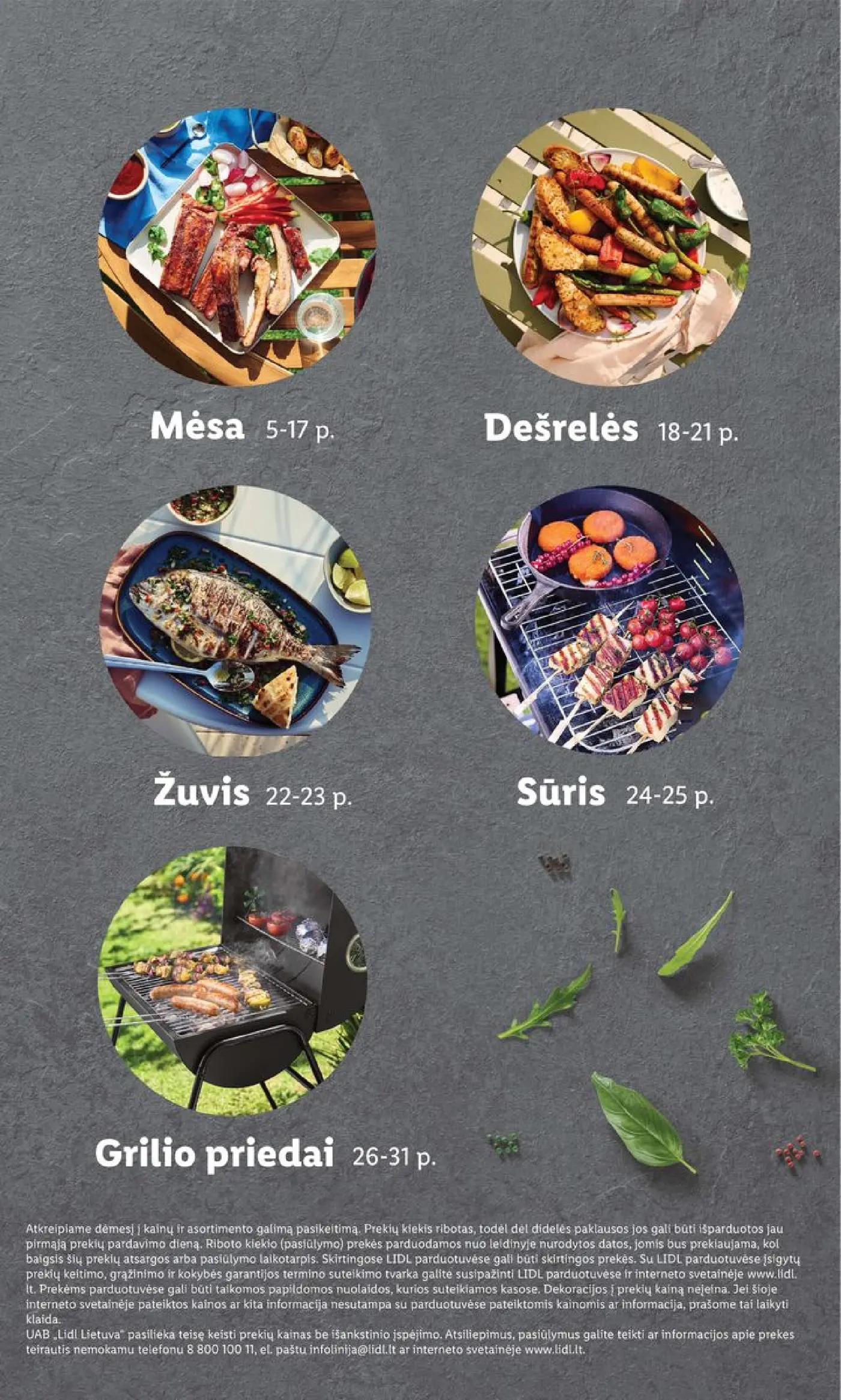 Naujas Lidl nuolaidų leidinys - Grilio katalogas Nuo pirmadienio, 04 06 Nr.15 – 3 puslapis