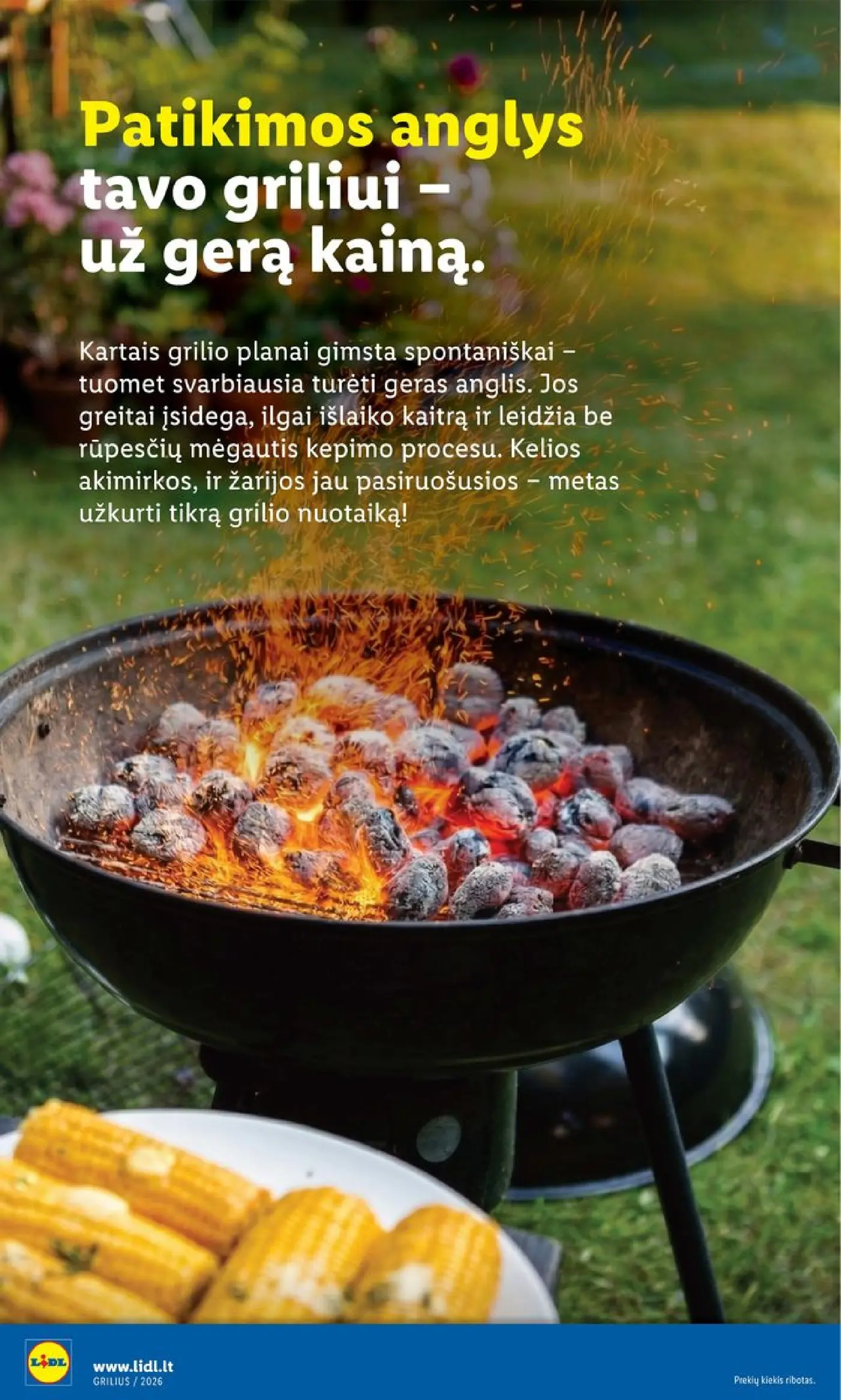 Naujas Lidl nuolaidų leidinys - Grilio katalogas Nuo pirmadienio, 04 06 Nr.15 – 32 puslapis
