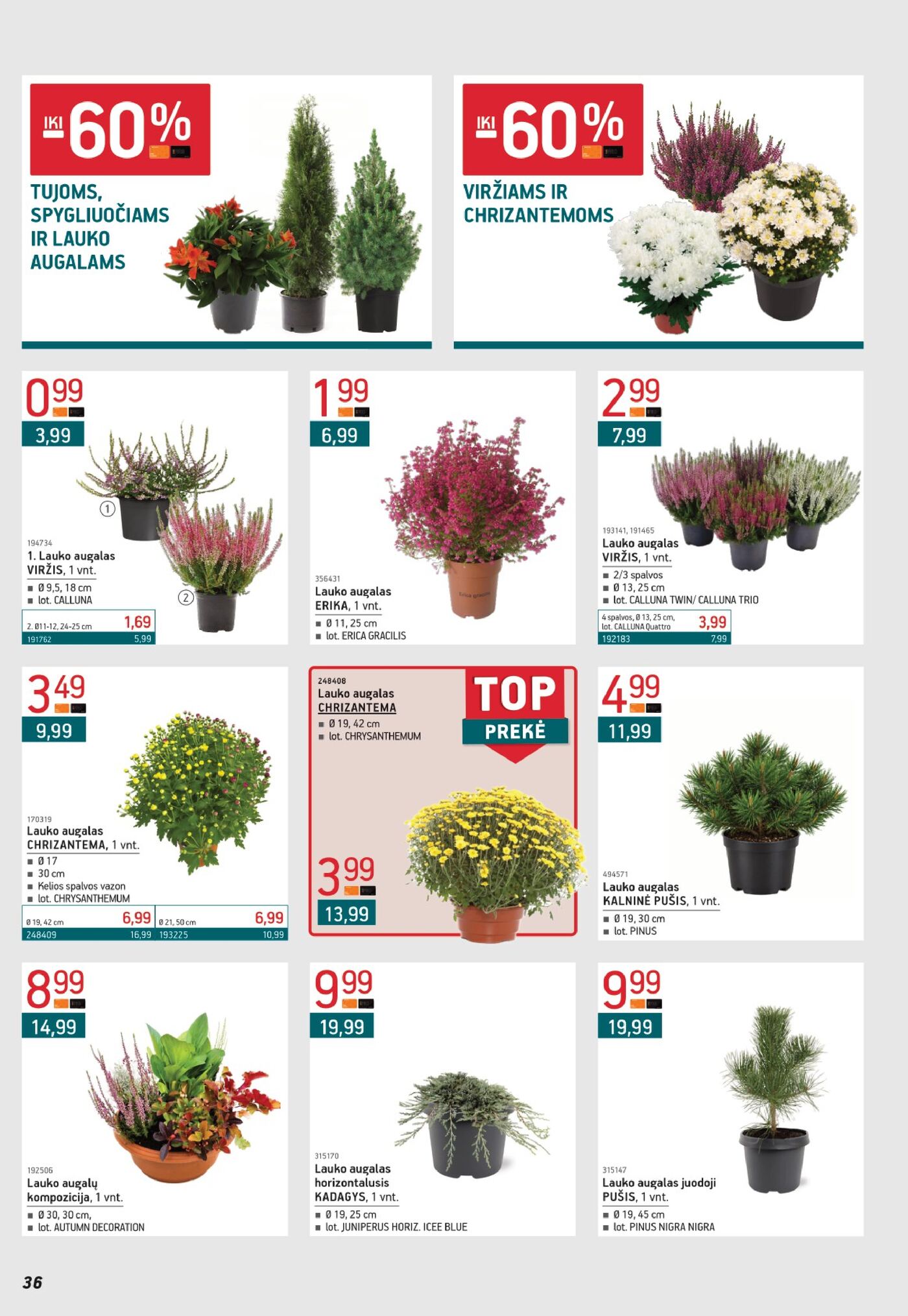 Naujas Ermitažas nuolaidų leidinys - Leidinys nr. 10 – 36 puslapis