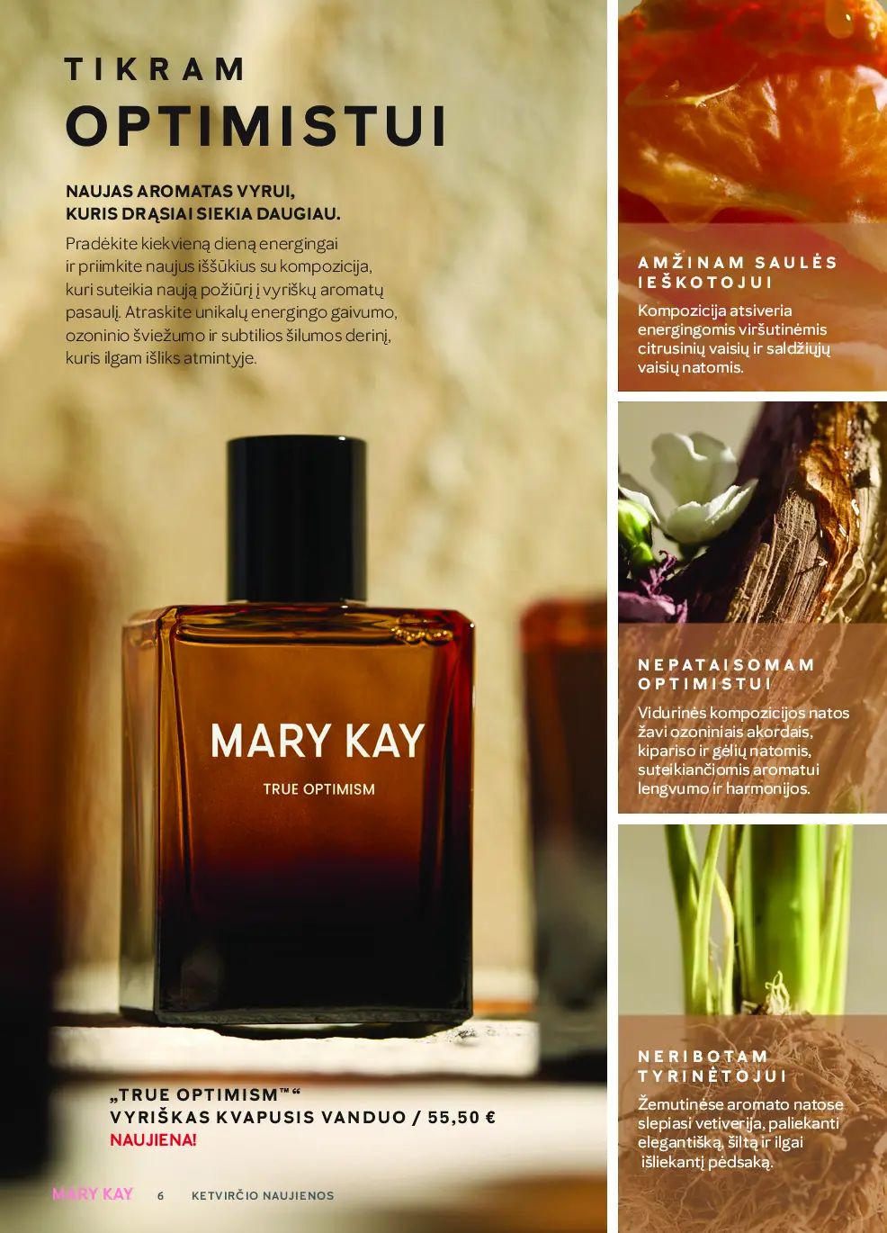 Mary Kay TheLOOKFall – 6 puslapis