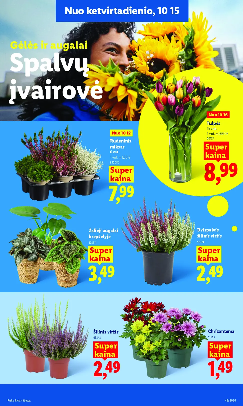 Naujas Lidl nuolaidų leidinys - MAISTO PREKIŲ PASIŪLYMAI Nr.42 – 45 puslapis: Rudeninis miksas, 6 vnt, Tulpės, 15 vnt, Žalieji augalai krepšelyje
