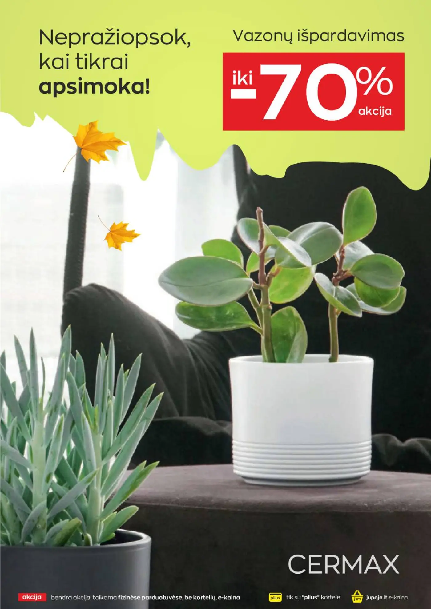 JUPOJA rudens sulaukus! – SPALIS – LAPKRITIS 2026 – 9 puslapis