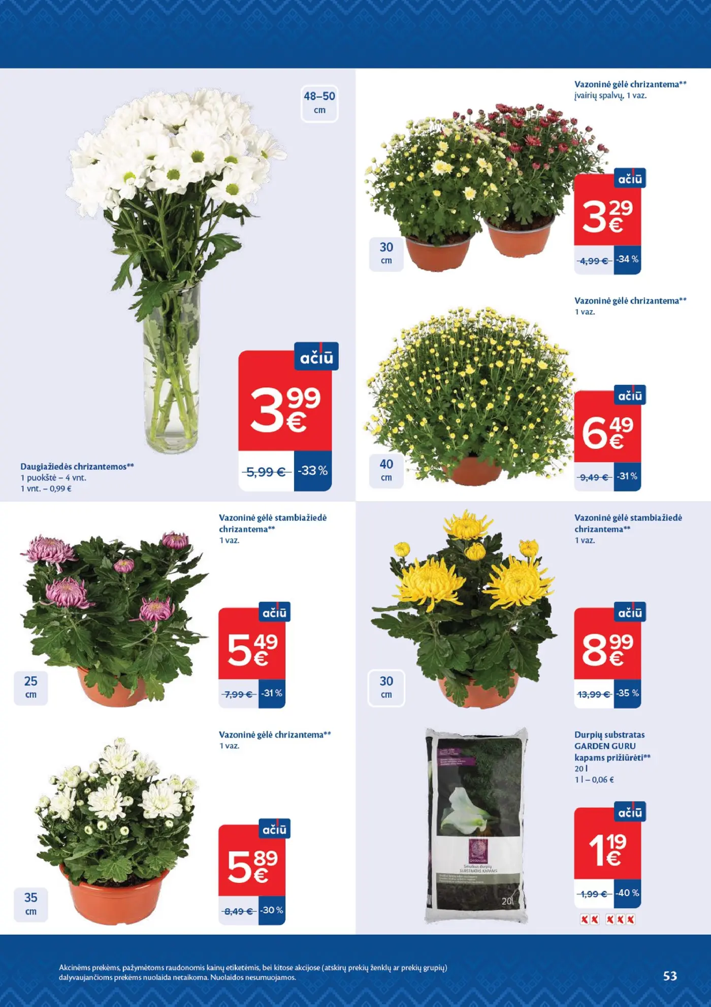 Naujas Maxima nuolaidų leidinys - AČIŪ savaitinis leidinys Nr. 44 – 53 puslapis: Daugiažiedės chrizantemos, 4 vnt, Vazoninė gėlė chrizantema, 30 cm, Vazoninė gėlė chrizantema, 40 cm