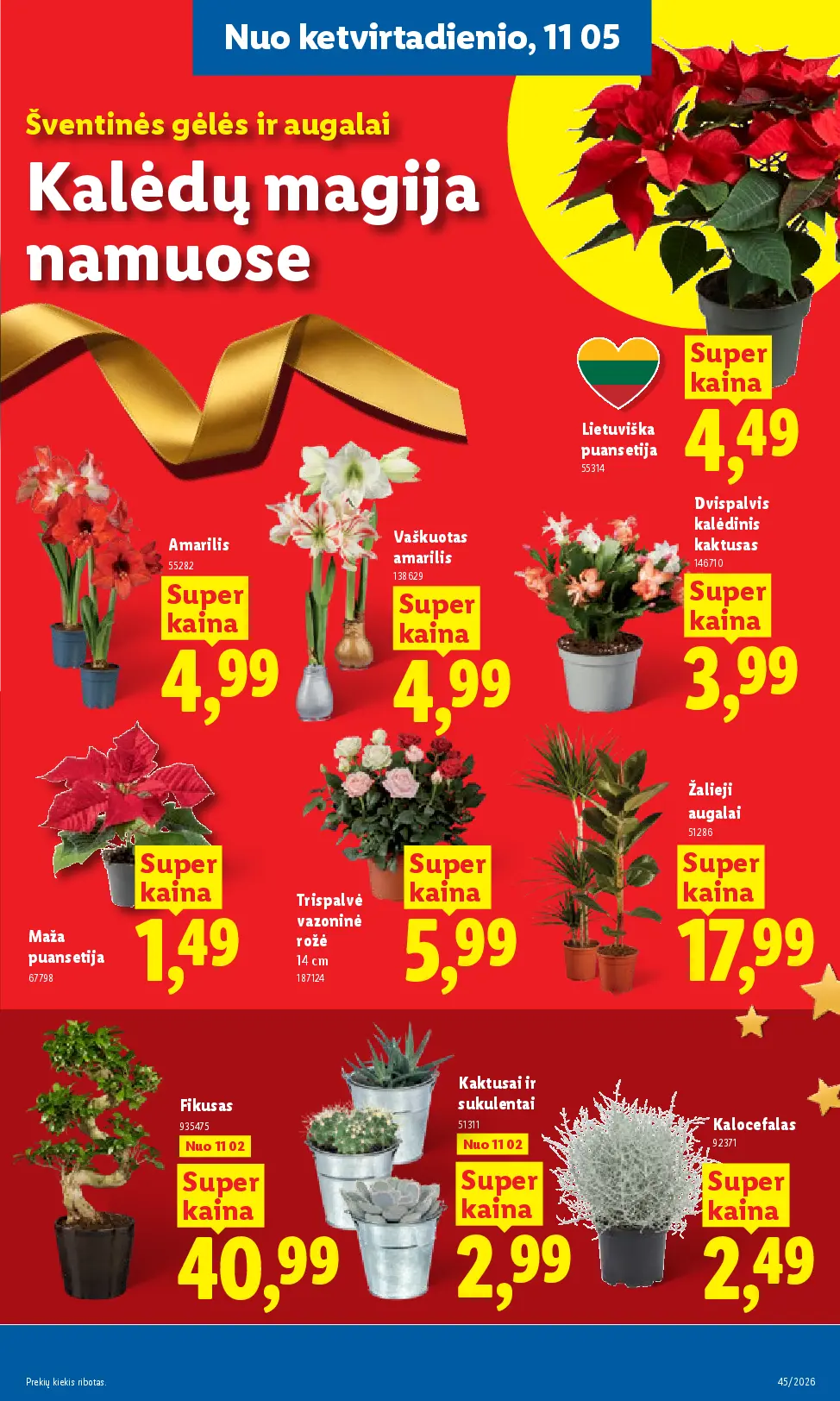 Lidl maisto prekių leidinys Nr. 45 – 33 puslapis: Lietuviška puansetija, Amarilis, Vaškuotas amarilis