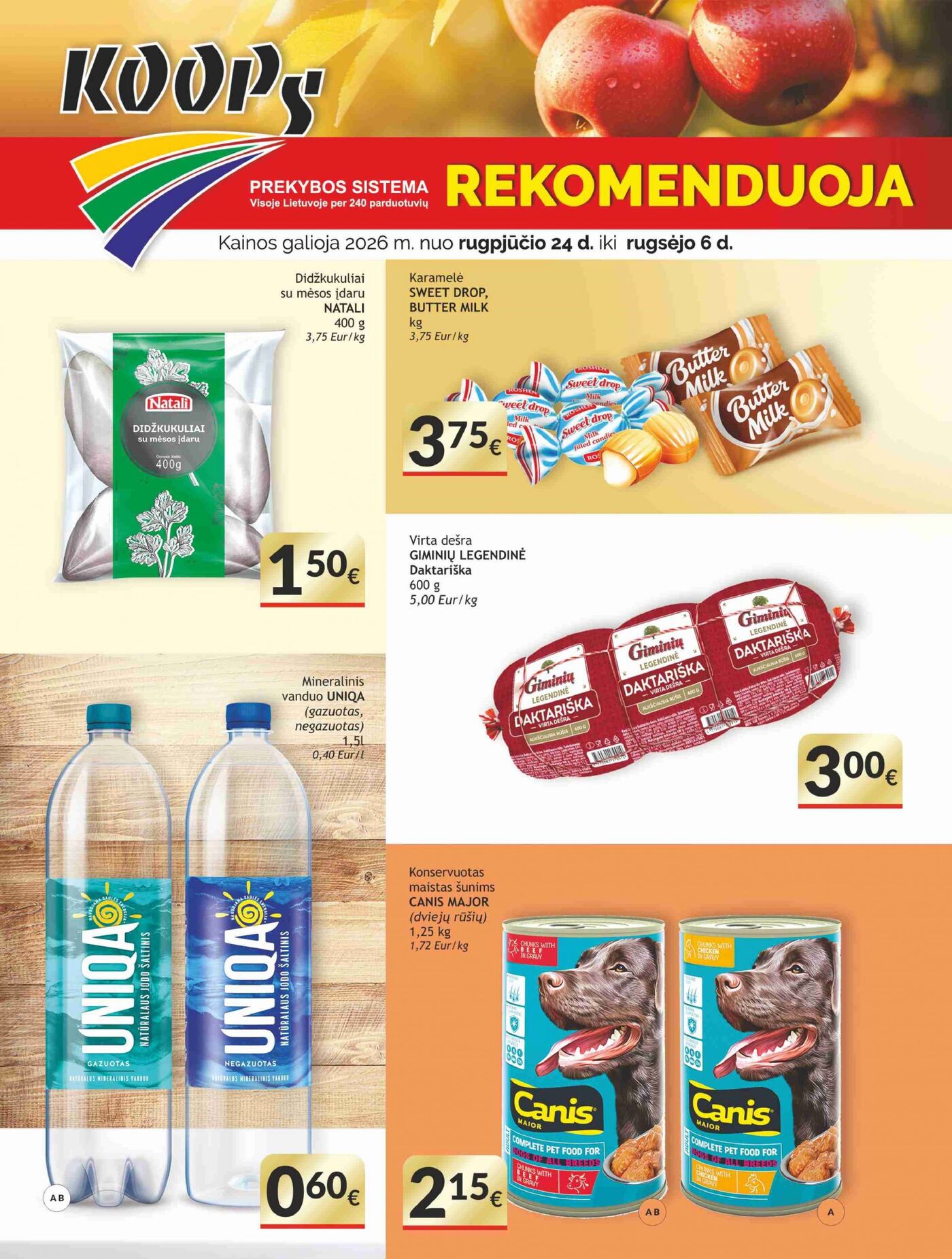Koops naudingų pasiūlymų leidinys – 9 puslapis