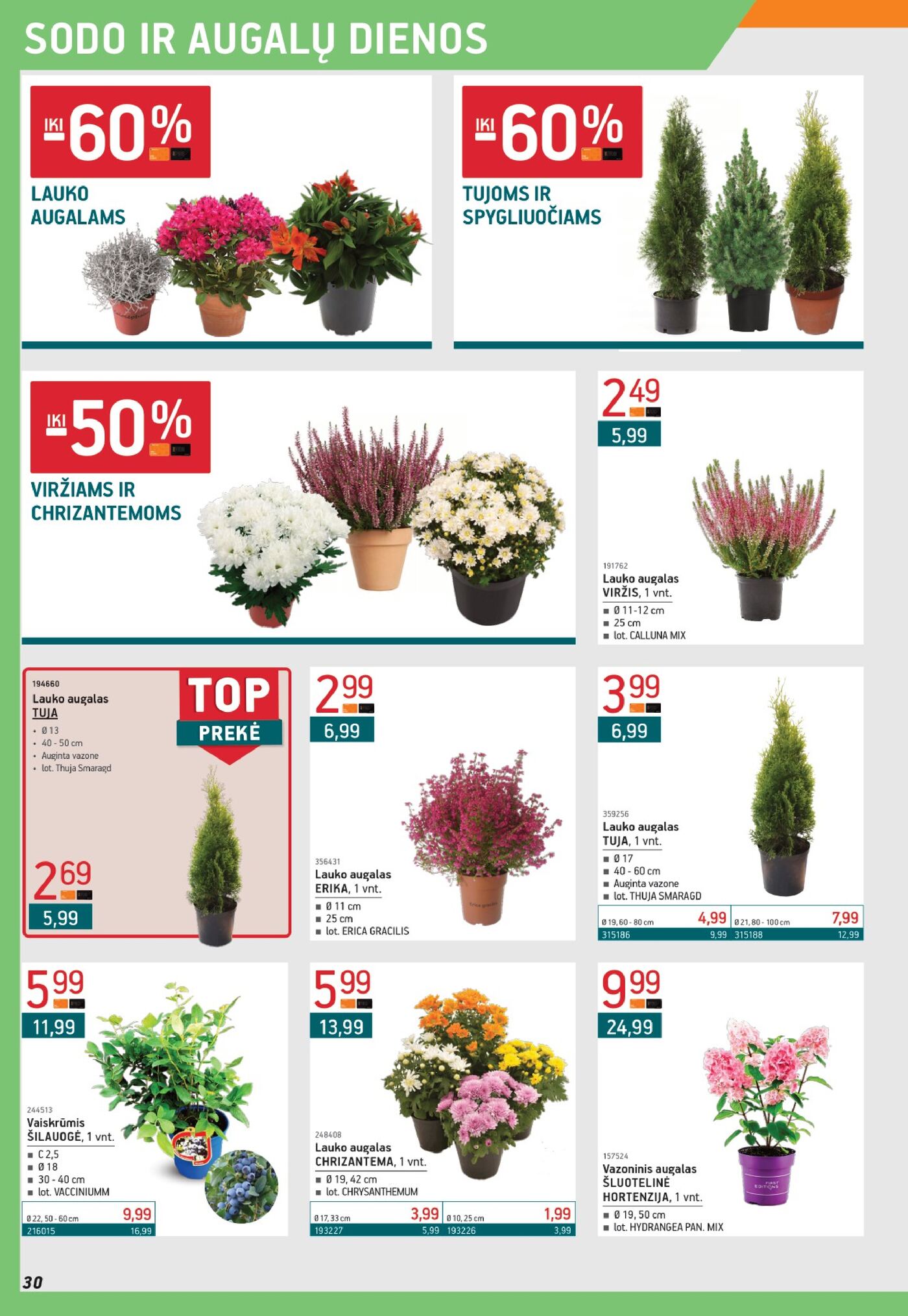 Leidinys nr. 9 – 30 puslapis