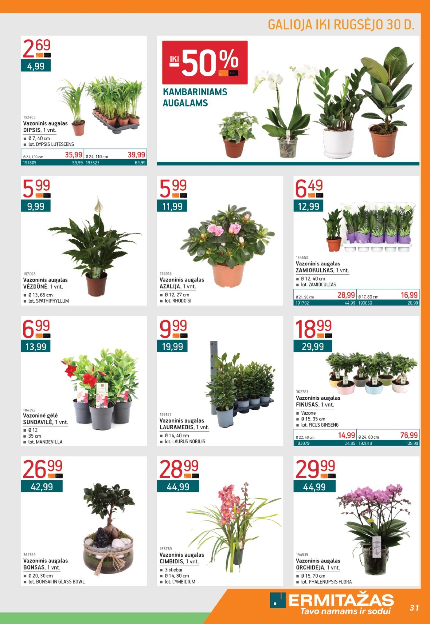 Leidinys nr. 9 – 31 puslapis