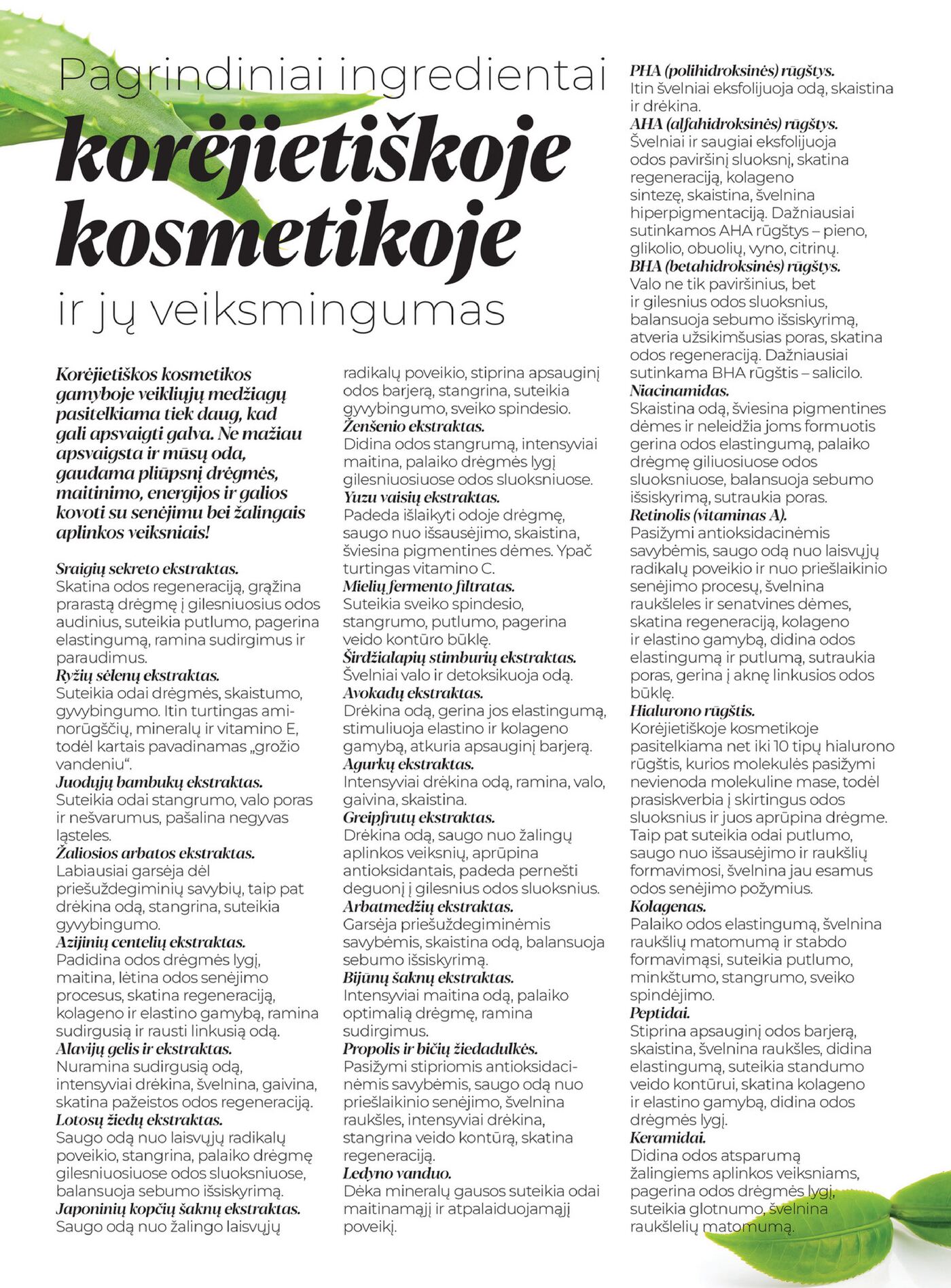 Korėjietiška kosmetika – 22 puslapis
