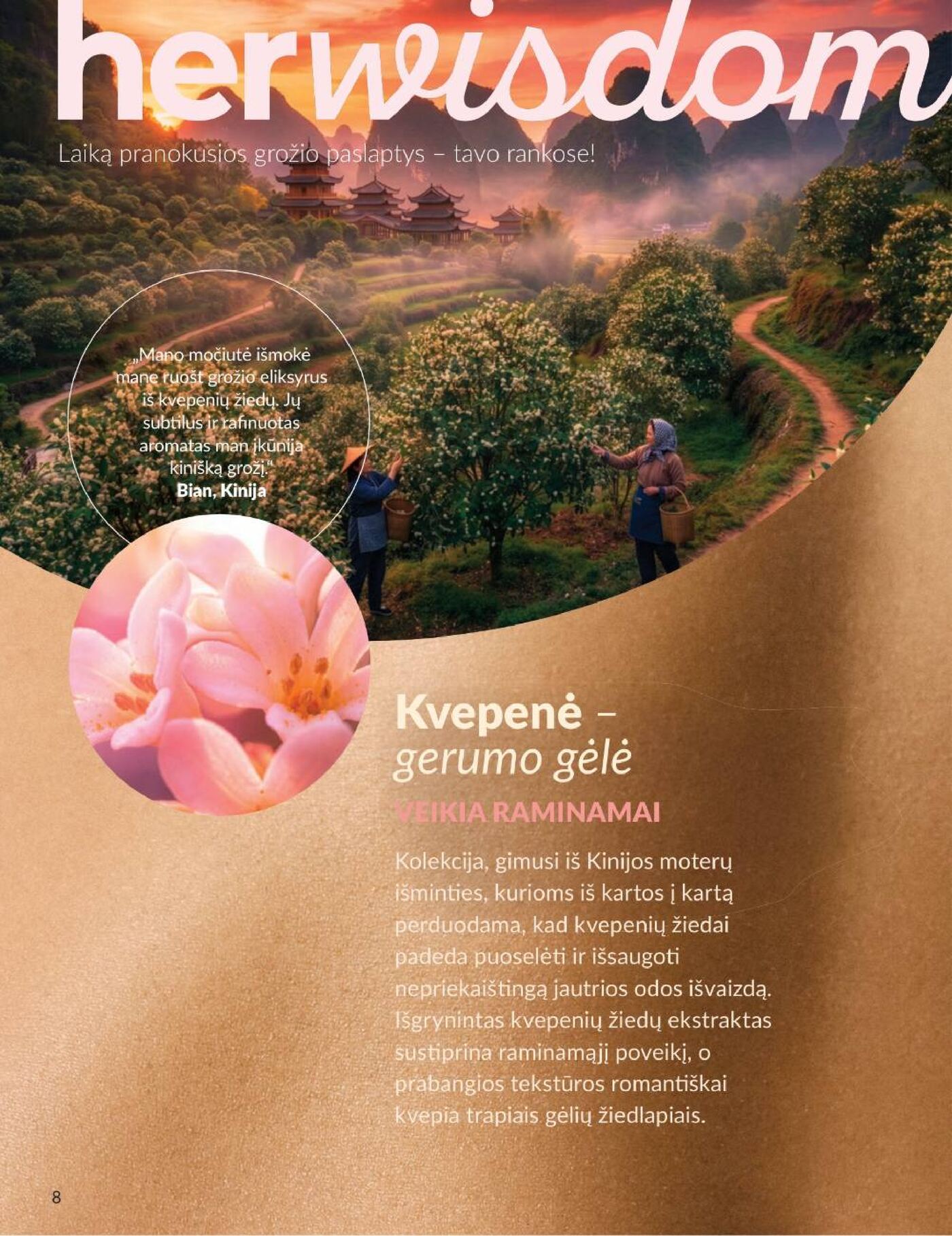 Rugsėjo katalogas – 8 puslapis