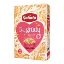 5 rūšių gr. dribsniai dėžutėje GALINTA, 500 g