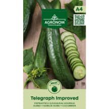 Agurkai TELEGRAPH IMPROVED
