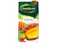 Ananasų nektaras ELMENHORSTER, 2 l