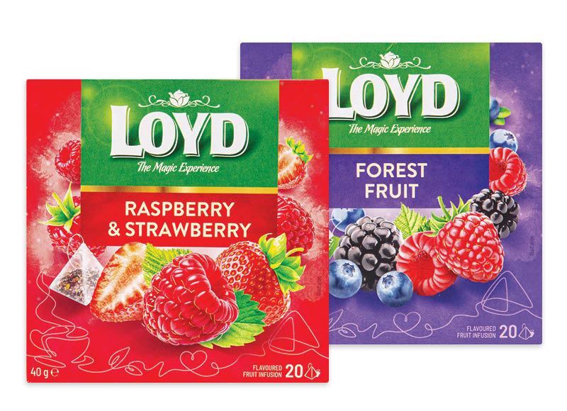 Arbata piramidės formos pakeliuose LOYD