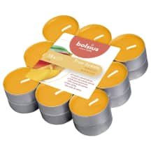 Arbatinės žvakės BOLSIUS MANGO, 18 vnt