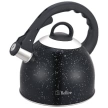 Arbatinukas BOLLIRE BR-3009, 2.5 l