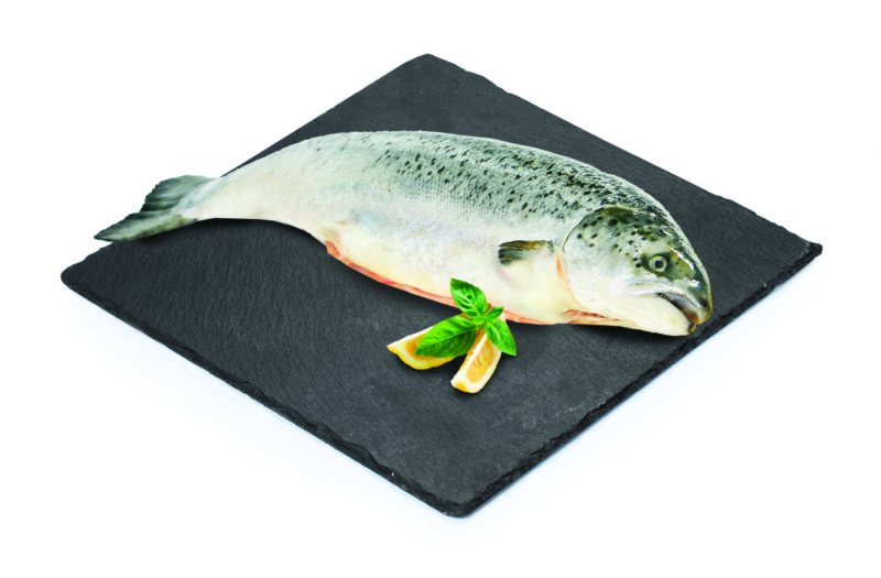 Atlantinės Lašišos su galva, išskrostos, atšaldytos Salmo Salar, 2 kg