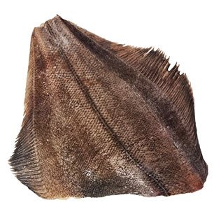Atšildyta europinė paltusinė plekšnė, 1 kg