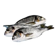 Auksaspalvės dorados, 1 kg