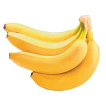 Bananai Cavendish, 20+cm, 1 kg