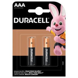 Baterijos DURACELL, AAA, LR03, 2 vnt