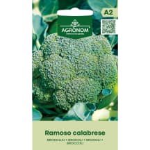 Brokoliai RAMOSO CALABRESE