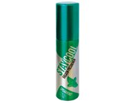 Burnos gaiviklis STAY COOL, švelnaus mėtų skonio, 20 ml