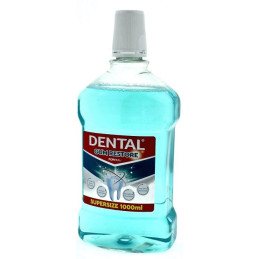Burnos skalavimo skystis DENTAL Gum Restore, 1000 ml