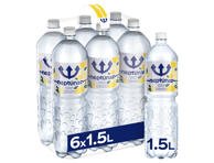 Citrinų skonio vanduo NEPTŪNAS, 6 x 1.5 l