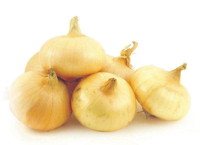 Svogūnai CLEVER, 1 kg