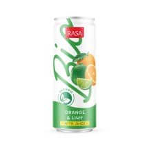 Ekol. gėr. RASA BIO, apel. ir cit. sk., 0.33 l
