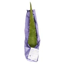 Ekologiškas alavijas, 1 kg