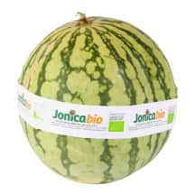 Ekologiškas arbūzas, 1 kg
