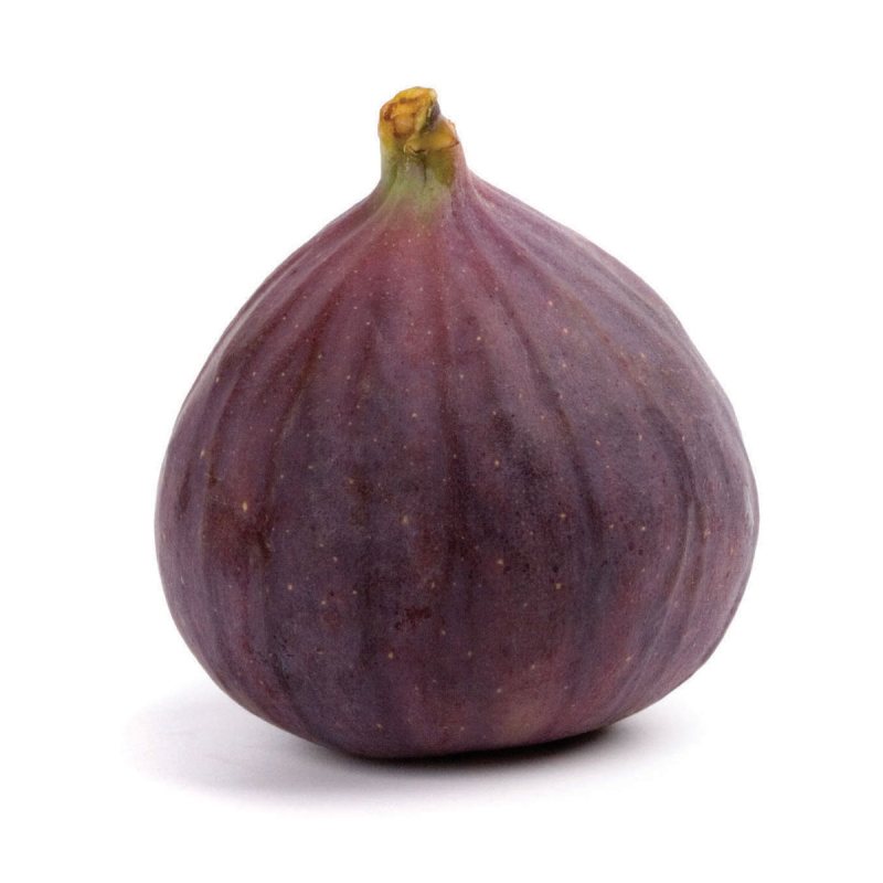 Figos