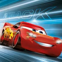 FSC servetėlės CARS, 2 sl., 20 vnt