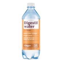 Funkc. gėrimas DIGESTIF WATER BIRUTĖ, 0.6 l
