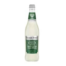 Gaivusis gėrimas FT GINGER BEER, 0.5 l