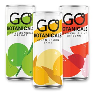Gazuotas gėrimas GO BOTANICALS, 0.33 l