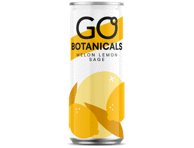 Gazuotas gėrimas GO BOTANICALS melionų skonio, 330 ml