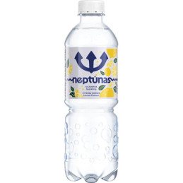 Gazuotas mineralinis vanduo NEPTŪNAS citrinų sk., 500 ml