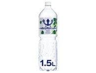 Gazuotas vanduo NEPTŪNAS, mėtų skonio, 1.5 l, 1.5 l