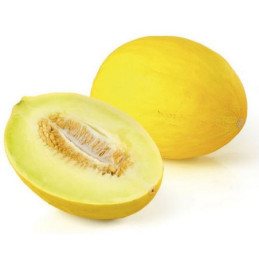 Geltonieji melionai HONEY DEWS, Brazilija, 1 kg