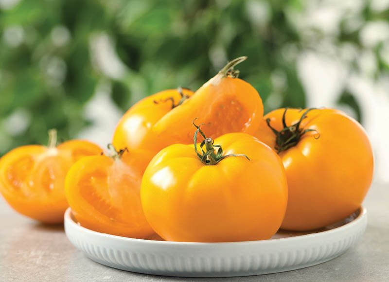 Geltonieji pomidorai, 1 kg