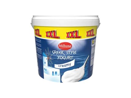 Graikiško stiliaus jogurtas, 1100 g