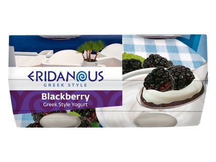 Graikiško stiliaus jogurtas, 4 x 125 g