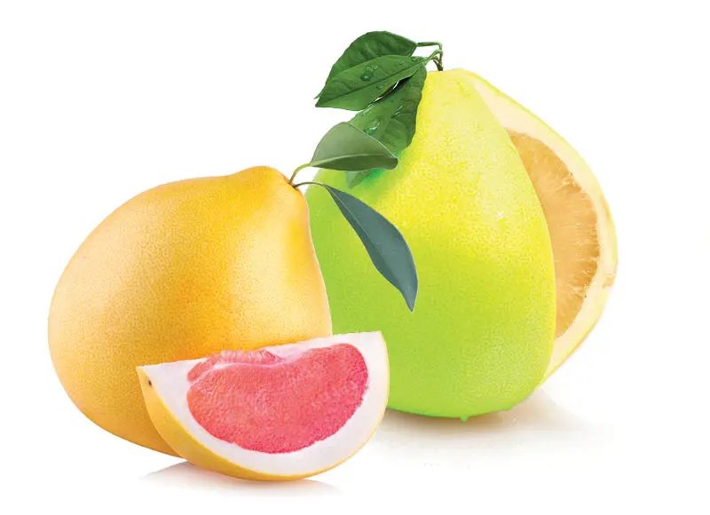 Greipfrutams POMELO