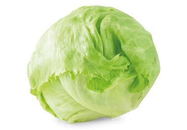 Gūžinės salotos ICEBERG, 10 d., 1 vnt