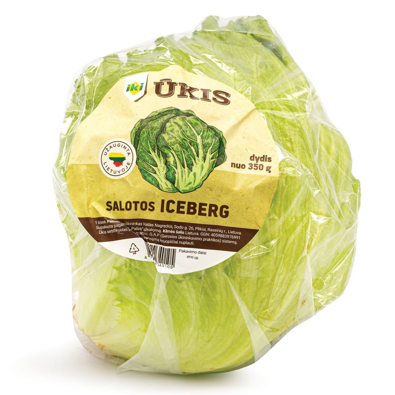 IKI ŪKIS SALOTOS ICEBERG, 1 vnt