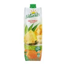 Įv. vaisių nektaras su minkšt. NATURALIS, 1 l